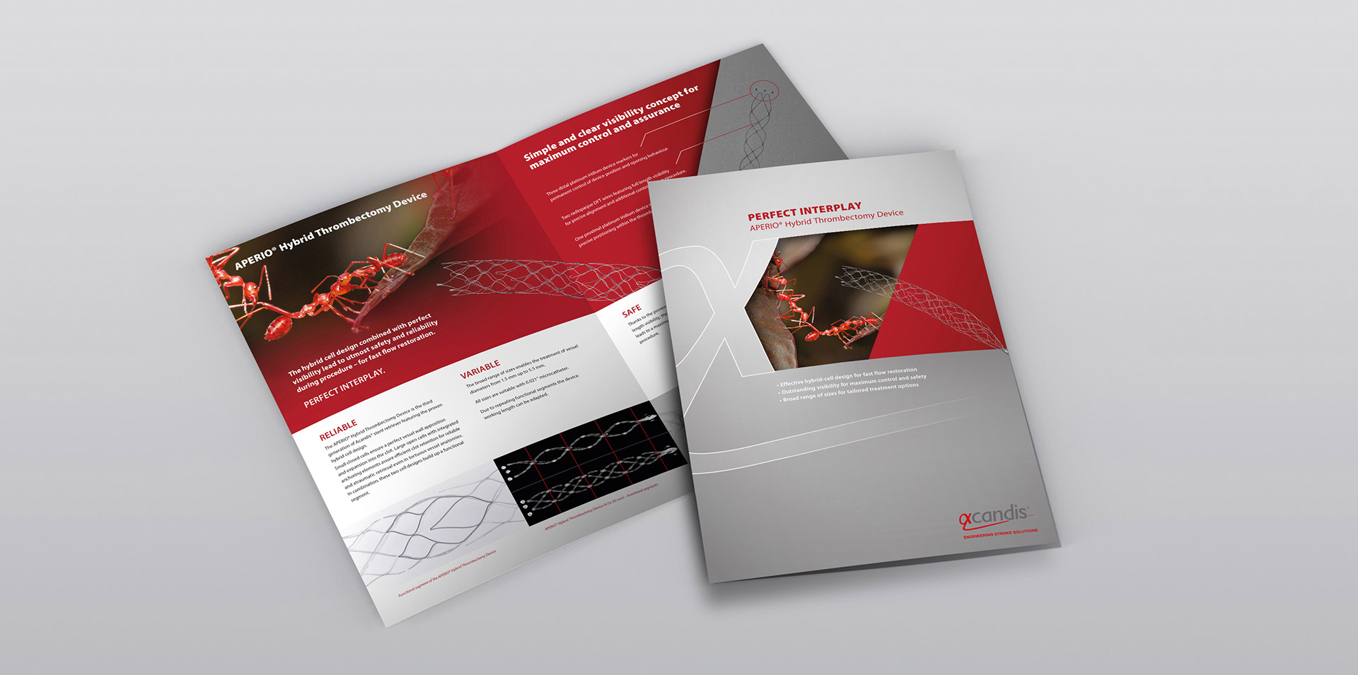 Acandis Slideshow Flyer Aperio2