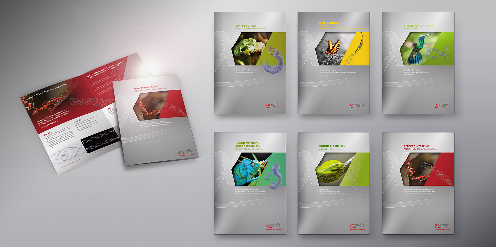 Acandis Slideshow Flyer All