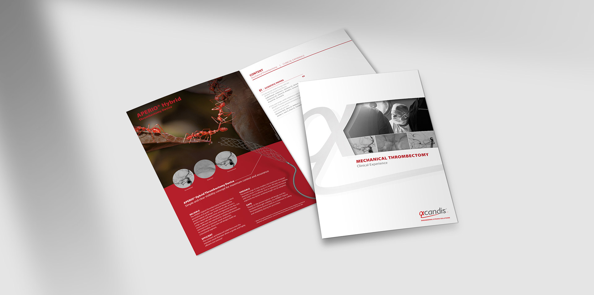 Acandis Slideshow Flyer Aperio