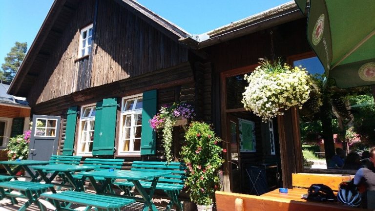 Baumwipfel H&uuml;tte