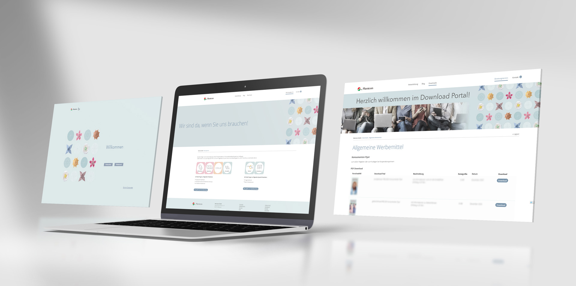 menicon-slideshow website