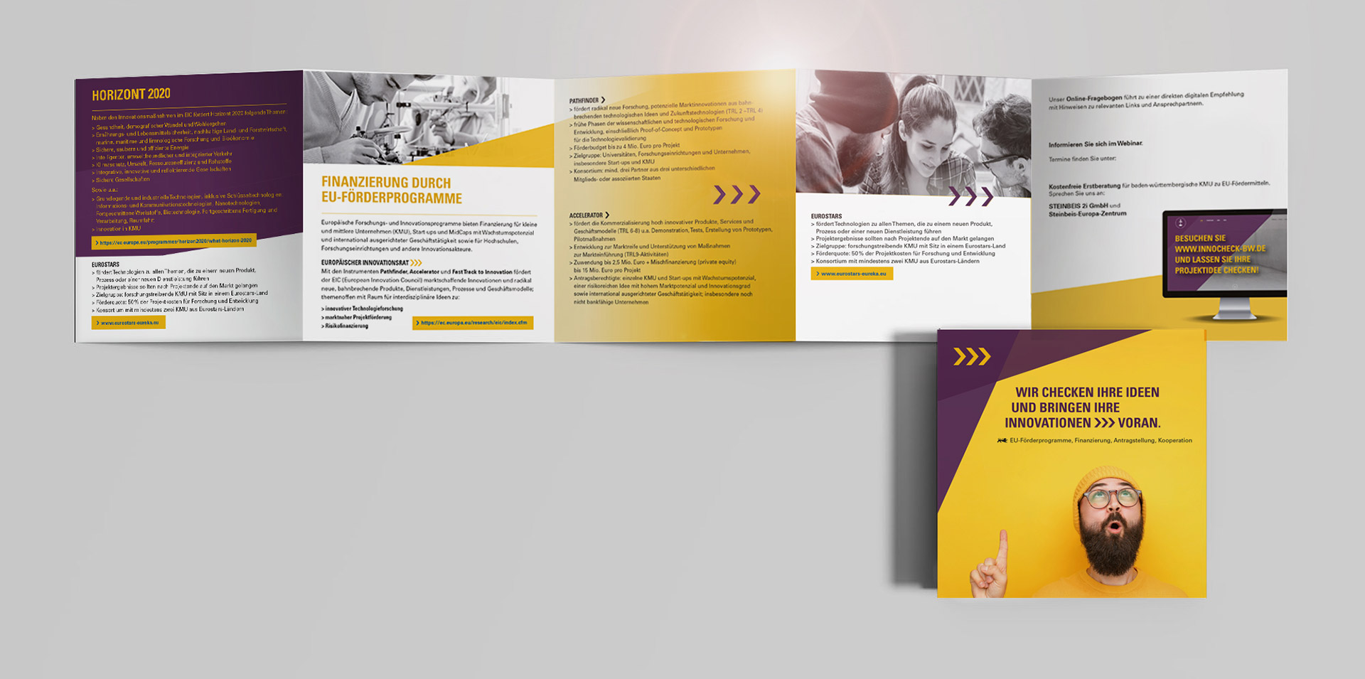 Steinbeis Slideshow Flyer